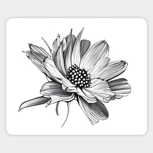 Black & White Digital Flower Drawing Sticker